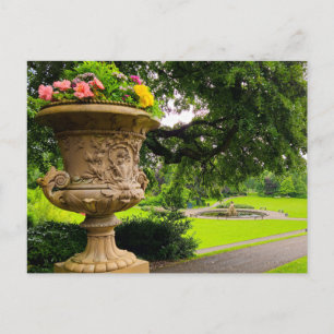 Carte Postale Fleurs