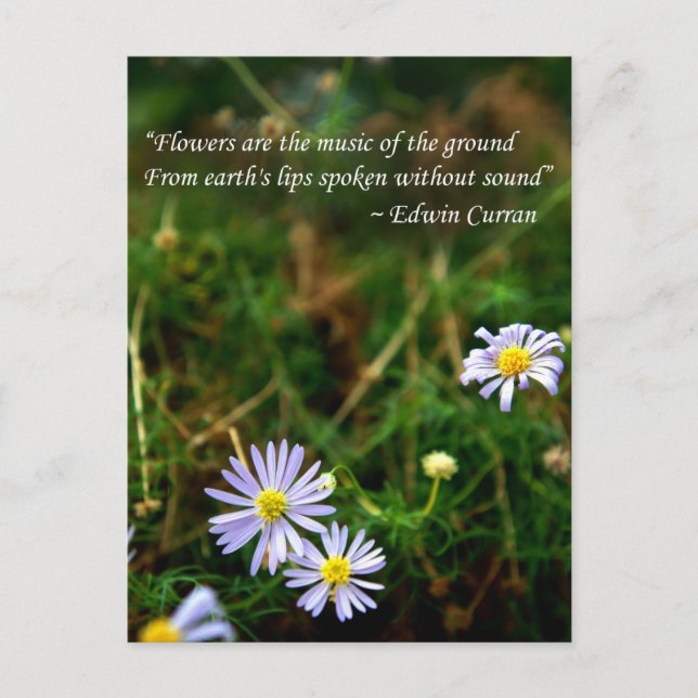 Carte postale Fleurs (Devant)