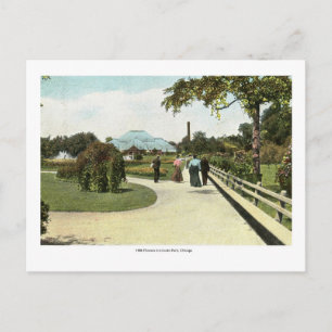 Carte Postale Fleurs 1906 à Lincoln Park, Chicago Vintage