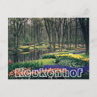 Carte Postale Fleurs à Keukenhof, bois et canal