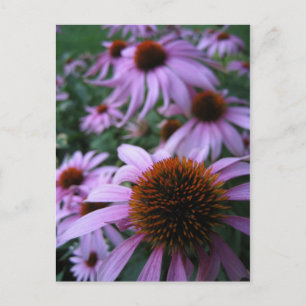 Carte Postale Fleurs amusantes