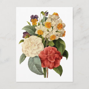 Carte Postale Fleurs anciennes, camélias et narcisses, Redoute
