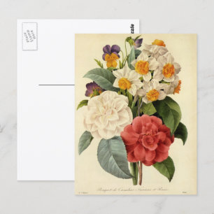 Carte Postale Fleurs anciennes, camélias et narcisses, Redoute
