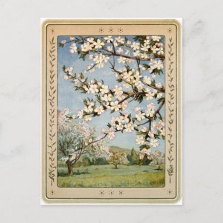 Carte postale - Fleurs Apple