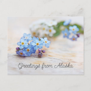 Carte Postale Fleurs bleues Ne m'oubliez pas Salutations d'Alask