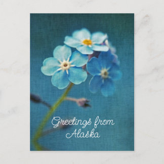Carte Postale Fleurs bleues Oubliez-moi pas les salutations de l
