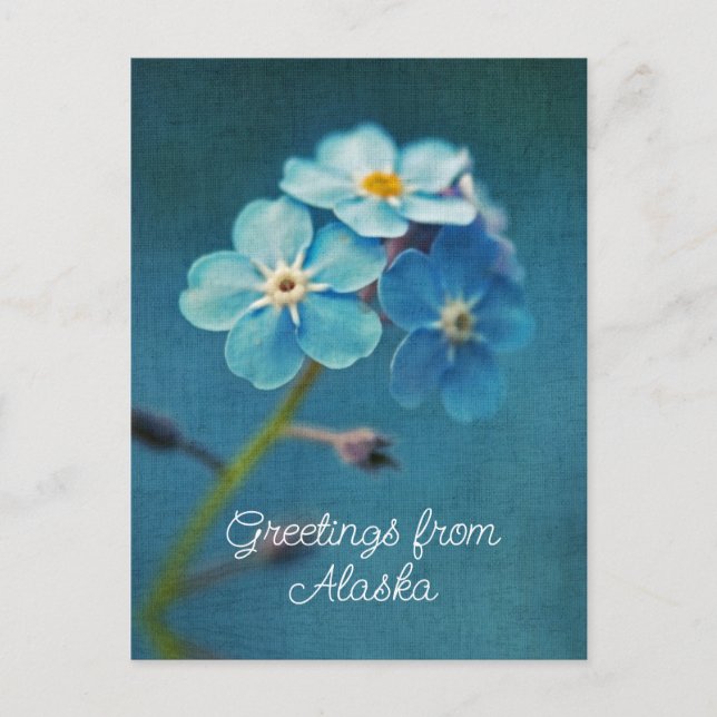 Carte Postale Fleurs bleues Oubliez-moi pas les salutations de l (Devant)
