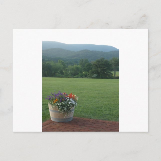 Carte Postale Fleurs Blue Ridge (Devant)