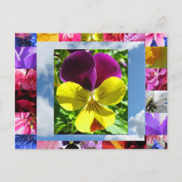 Carte postale Fleurs Bonheur