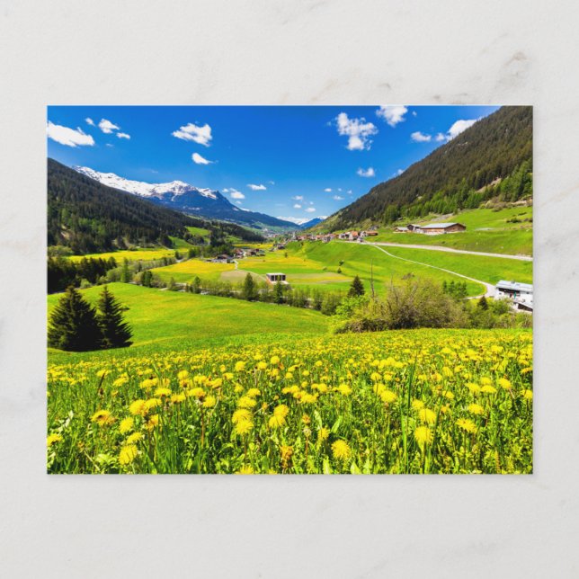 Carte Postale Fleurs | Canton des Grisons de Dandelion, Suisse (Devant)