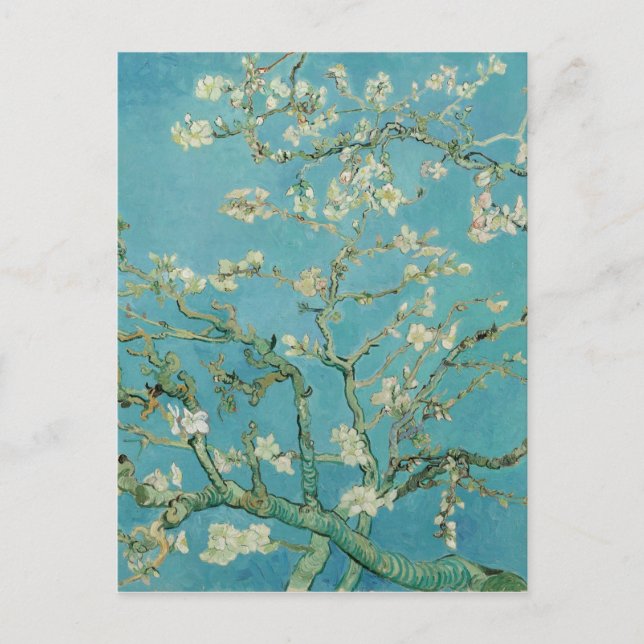 Carte Postale Fleurs d'amandes par Vincent van Gogh (Devant)