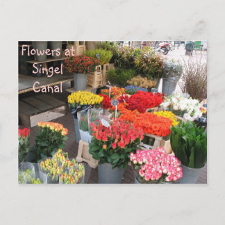 Carte Postale Fleurs d'Amsterdam