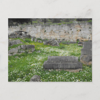 Carte Postale Fleurs dans les ruines de Delphi
