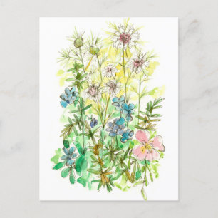 Carte Postale Fleurs d'aquarelle Jardin de printemps Nigella Vio