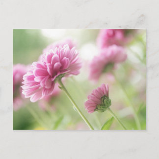 Carte Postale Fleurs d'automne