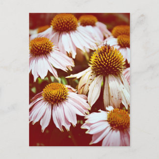 Carte Postale Fleurs d'automne