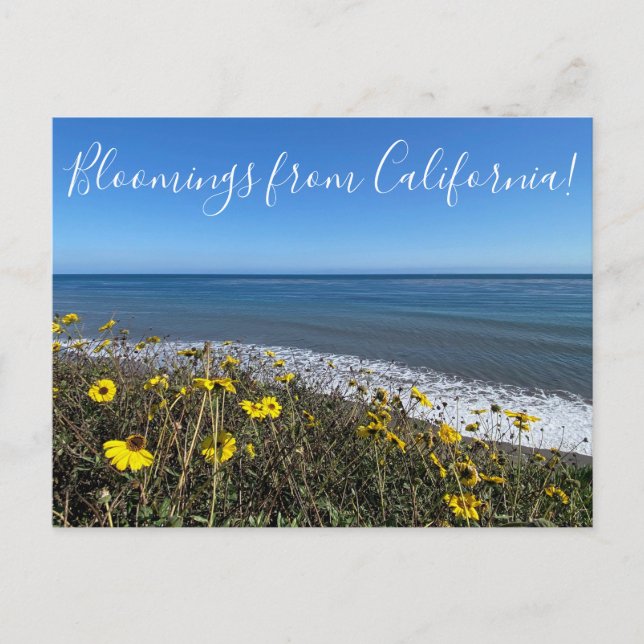 Carte Postale Fleurs de Californie ! (Devant)