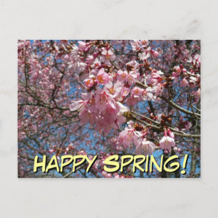 Carte Postale Fleurs de cerisier et fleurs de printemps roses d'