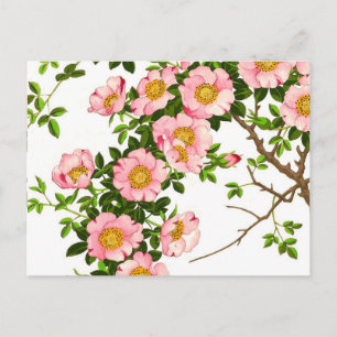 Carte Postale Fleurs de cerisier japonaises vintages, rose et or