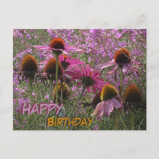 Carte Postale Fleurs de chapeau de soleil Texte personnalisé Joy (Devant)