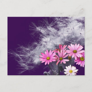 Carte postale Fleurs de chardon et graines