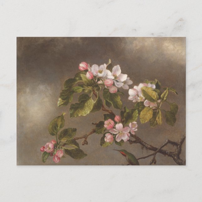 Carte Postale Fleurs de colibri et de pomme (Devant)