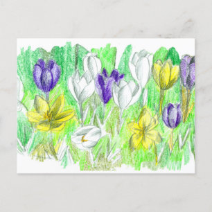 Carte Postale Fleurs de Crocus pourpres Forêt Plancher Art print