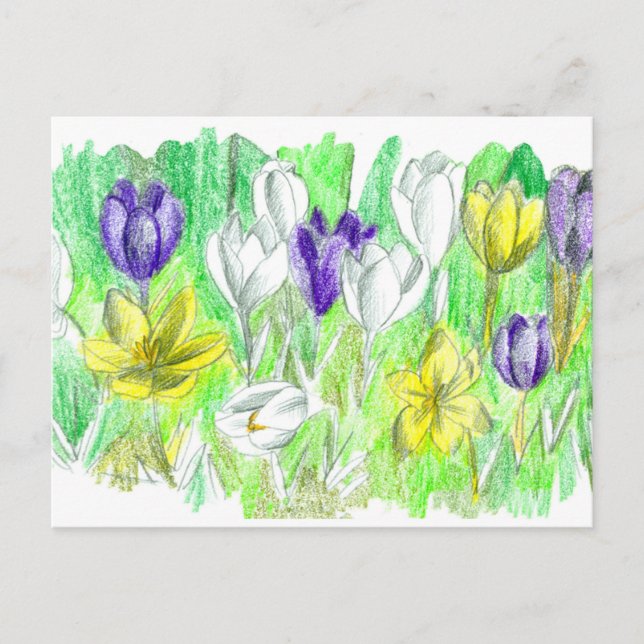Carte Postale Fleurs de Crocus pourpres Forêt Plancher Art print (Devant)