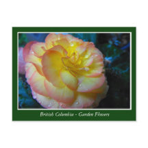 Fleurs de jardin BC
