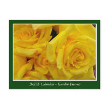 Fleurs de jardin BC