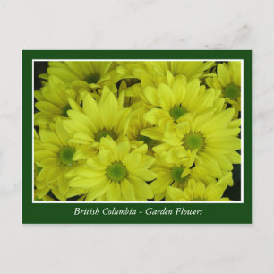 Carte Postale fleurs de jardin de la Colombie-Britannique