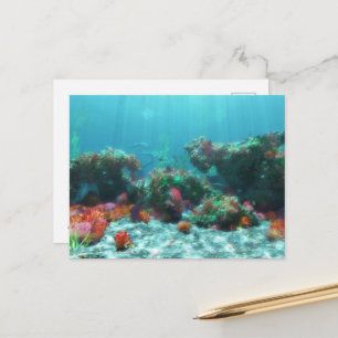 Carte postale Fleurs de la mer