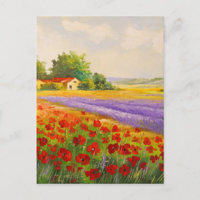Carte Postale Fleurs de la Provence (Devant)