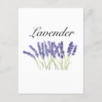 Fleurs de lavande aquarelle herbes violet chic