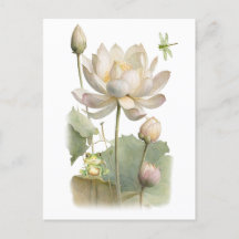 Fleurs de lotus à l'aquarelle, grenouille et libel