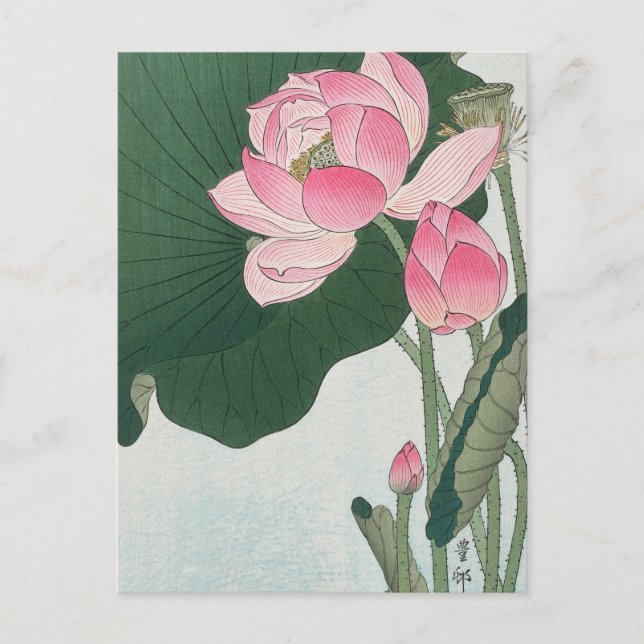Carte Postale Fleurs de lotus florissantes Peinture d'Ohara Koso (Devant)