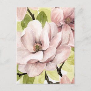 Carte Postale Fleurs de Magnolia