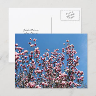 Carte Postale Fleurs de Magnolia Ciel Bleu Personnalisé