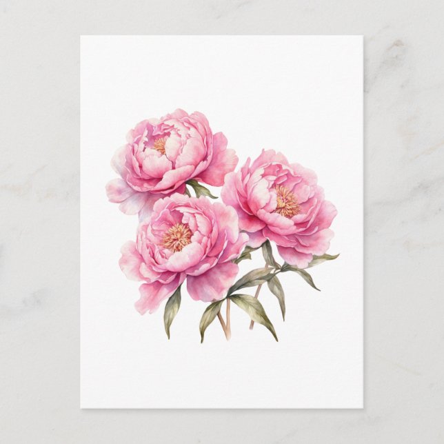 Carte Postale Fleurs de pivoine rose à l'aquarelle (Devant)