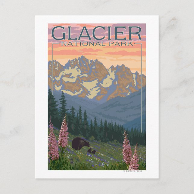 Carte Postale Fleurs de printemps - Parc national des Glaciers,  (Devant)