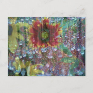 Carte Postale Fleurs de prison