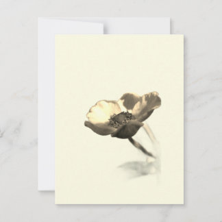 Carte Postale Fleurs de rêve d'or - Miracle Minimalist Nature