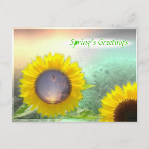 Carte Postale Fleurs de soleil