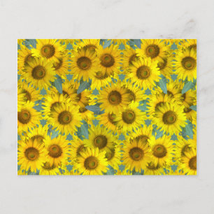 Carte Postale Fleurs de soleil