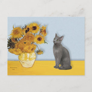 Carte Postale Fleurs de soleil - chat bleu russe