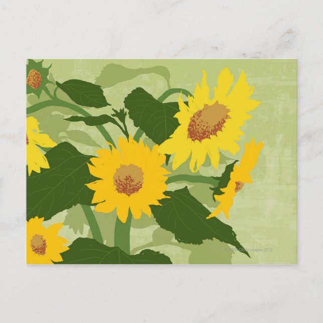 Carte Postale Fleurs de soleil illustrées (Devant)
