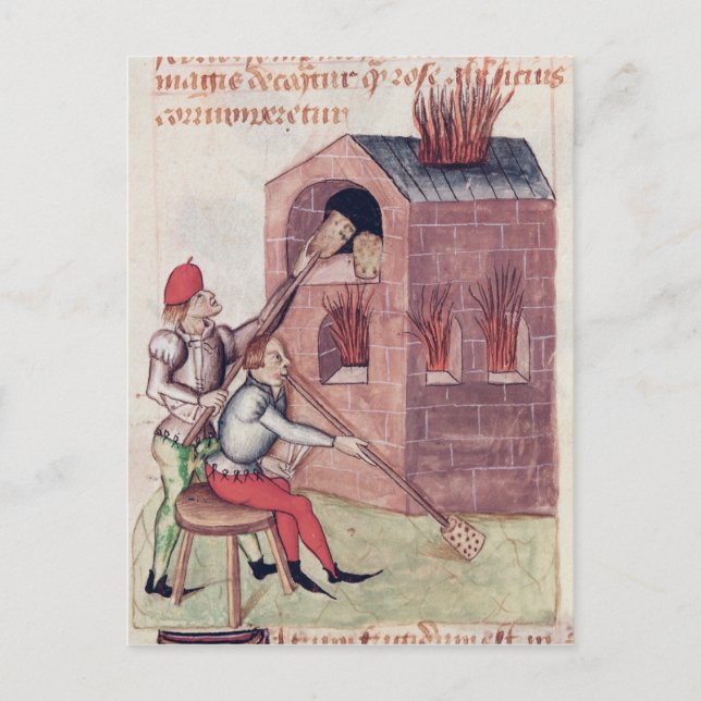 Carte Postale Fleurs de verre, de "Tractatus de Herbis" (Devant)