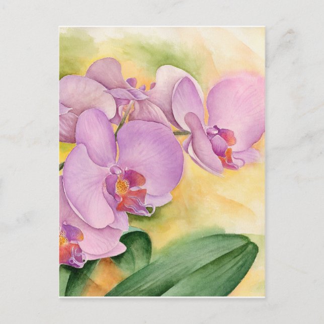 Carte Postale Fleurs d'orchidées Phalaenopsis Lavande Rose (Devant)
