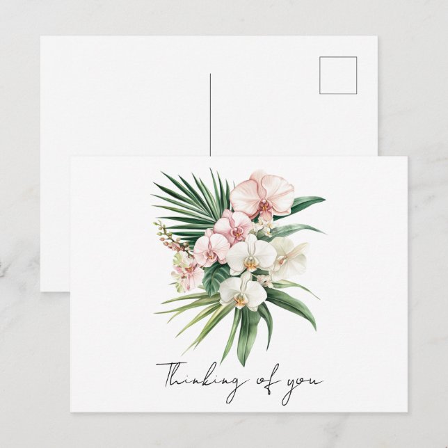 Carte Postale Fleurs d'orchidées roses tropicales (Devant / Derrière)