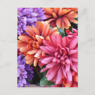 Carte Postale Fleurs éclatantes